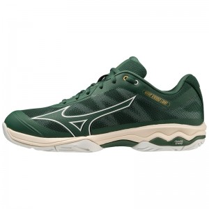 Mizuno Wave Exceed Light AC Férfi Teniszcipő Fehér | YEL-156790