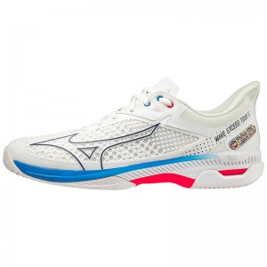 Mizuno Wave Exceed Tour 5 CC Férfi Teniszcipő Fehér | GZY-279513